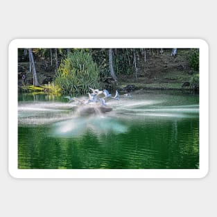 Fountain at Na 'Aina Kai Botanical Gardens & Sculpture Park Sticker